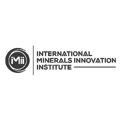 IMMI logo